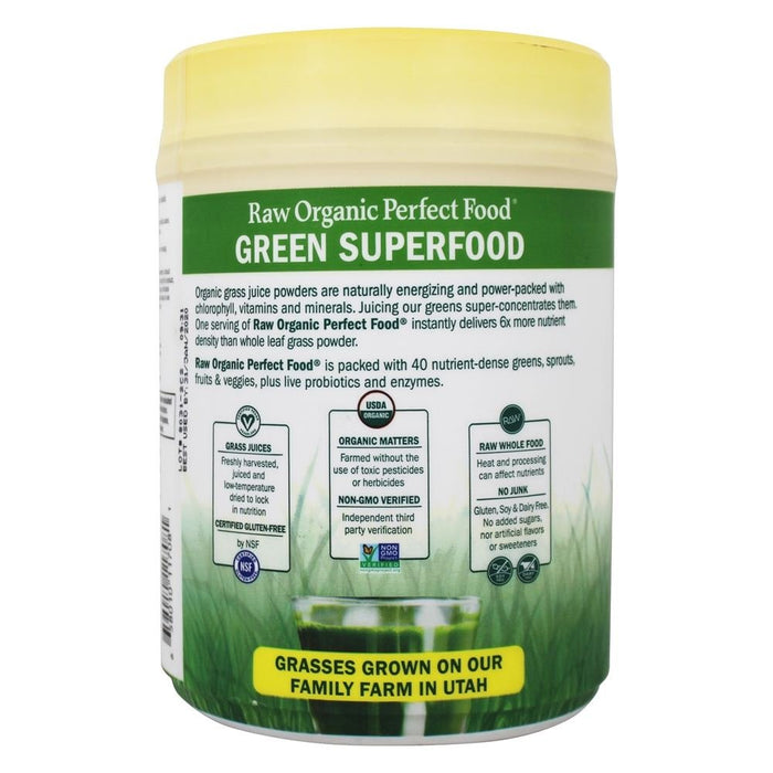 Garden of Life Raw Organic Perfect Food Green Superfood, Original - 414g | High-Quality Health and Wellbeing | MySupplementShop.co.uk