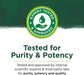 Swanson Bilberry Fruit 470 mg 100 Capsules | Premium Supplements at MYSUPPLEMENTSHOP.co.uk