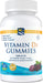 Nordic Naturals Vitamin D3 Gummies, 1000 IU Wild Berry - 120 gummies | High-Quality Sports Supplements | MySupplementShop.co.uk